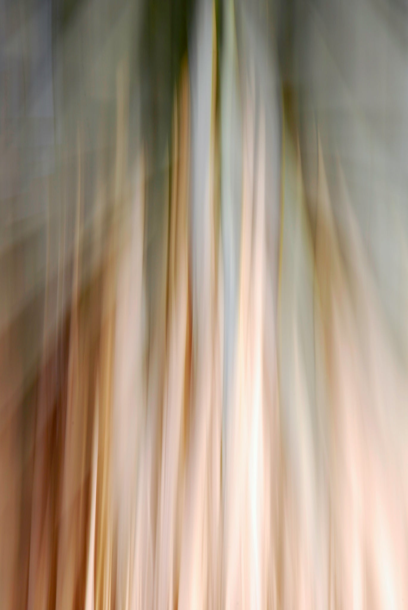 Static and Motion, 2010-02-06-0338