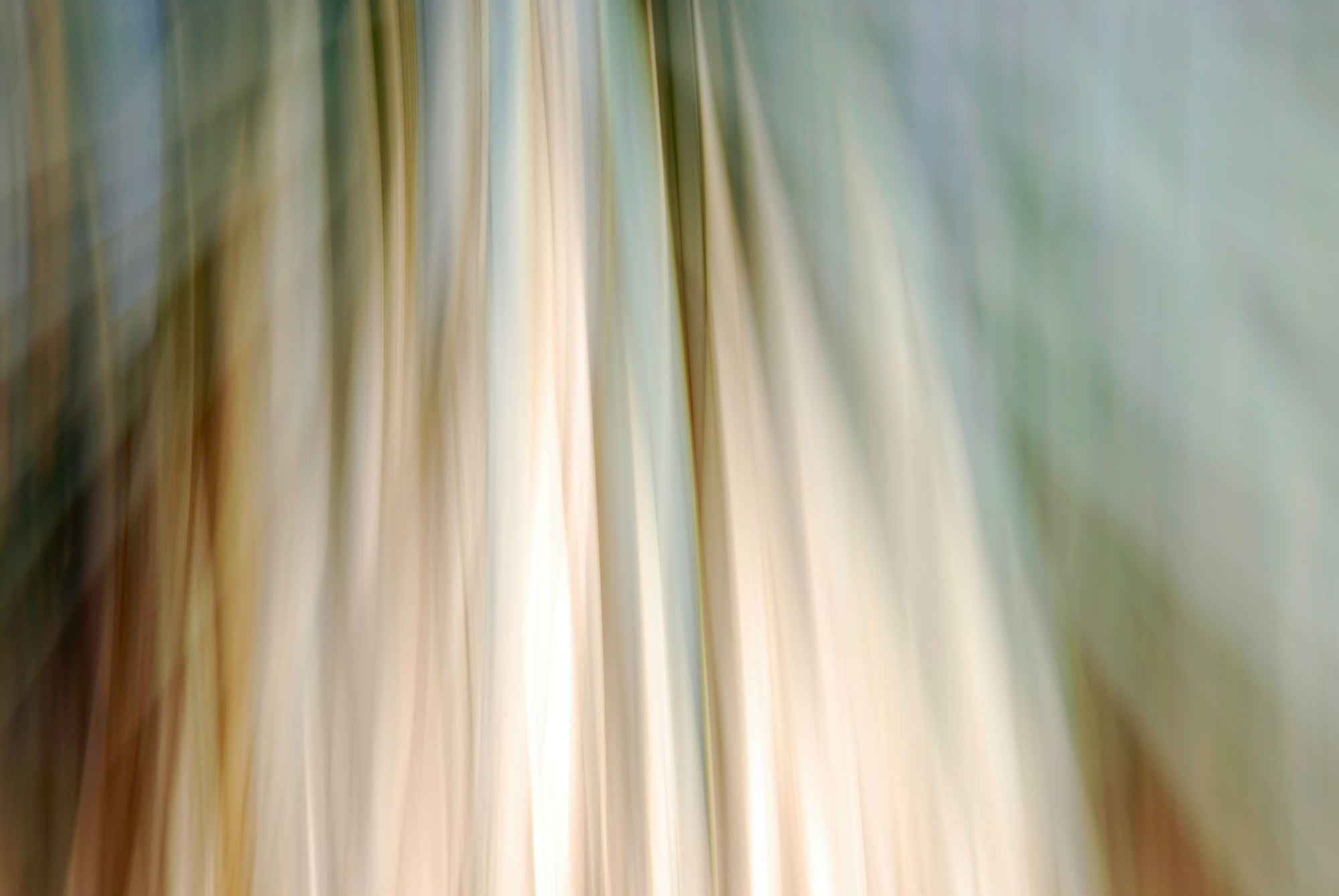 Static and Motion, 2010-02-06-0342