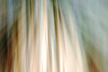 Static and Motion, 2010-02-06-0342