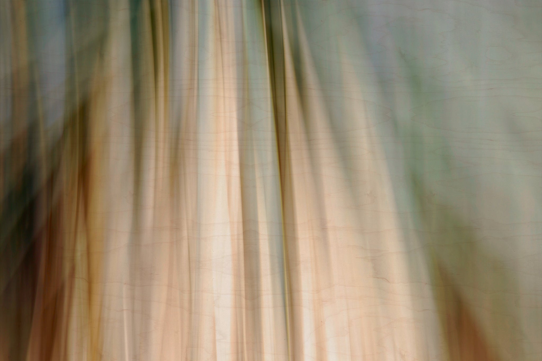 Static and Motion, 2010-02-06-0342