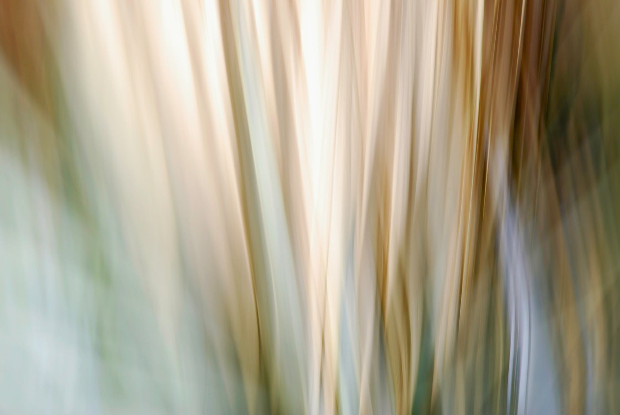 Static and Motion, 2010-02-06-0344