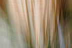 Static and Motion, 2010-02-06-0344
