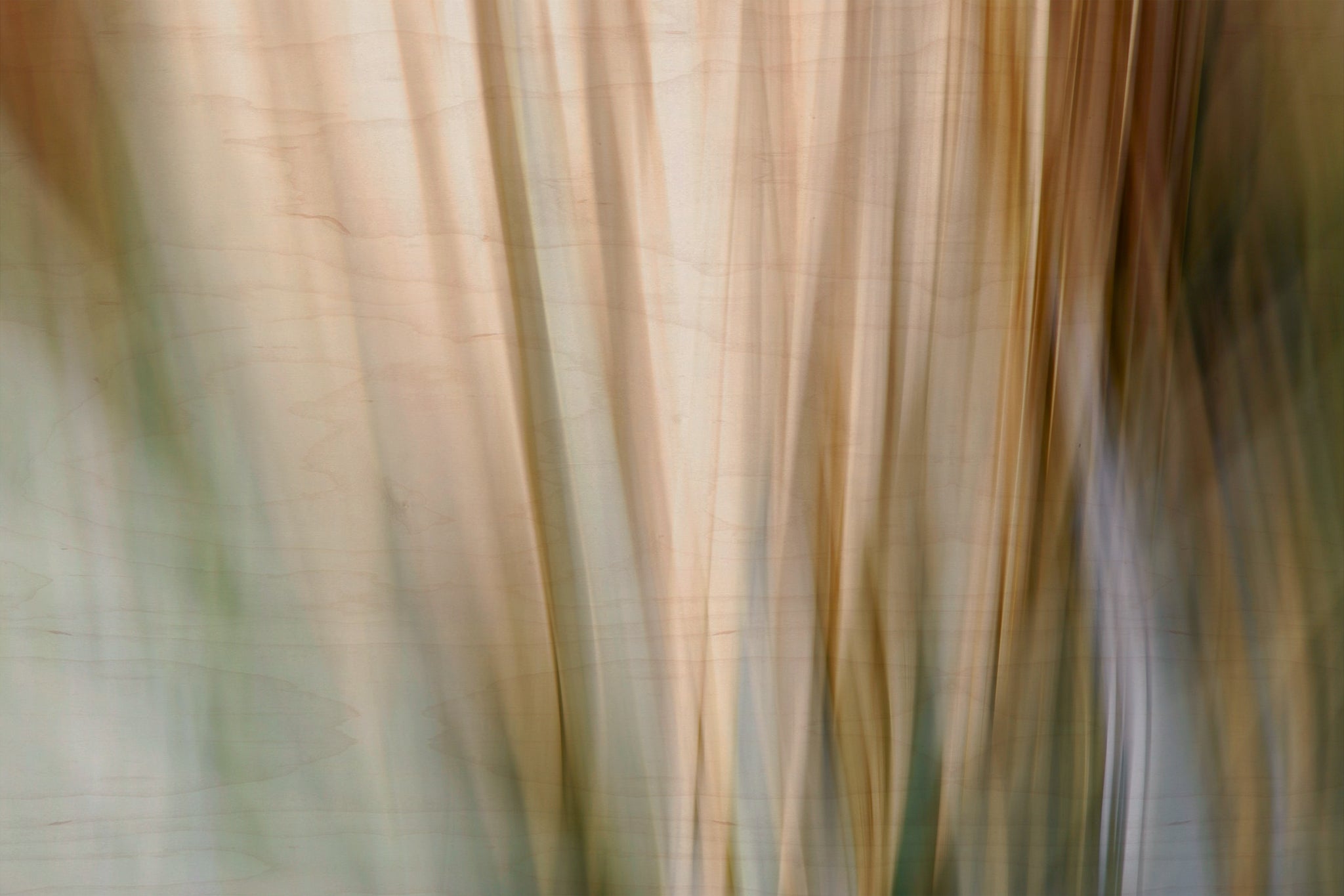 Static and Motion, 2010-02-06-0344
