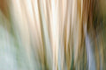 Static and Motion, 2010-02-06-0344