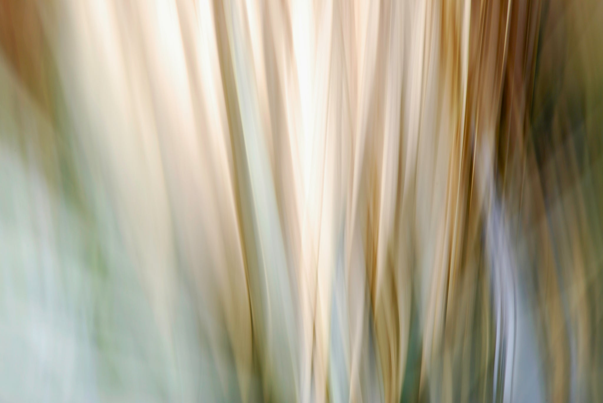 Static and Motion, 2010-02-06-0344