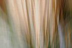Static and Motion, 2010-02-06-0344
