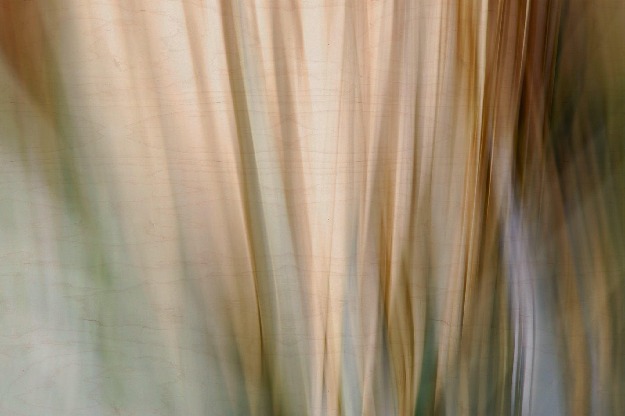 Static and Motion, 2010-02-06-0344