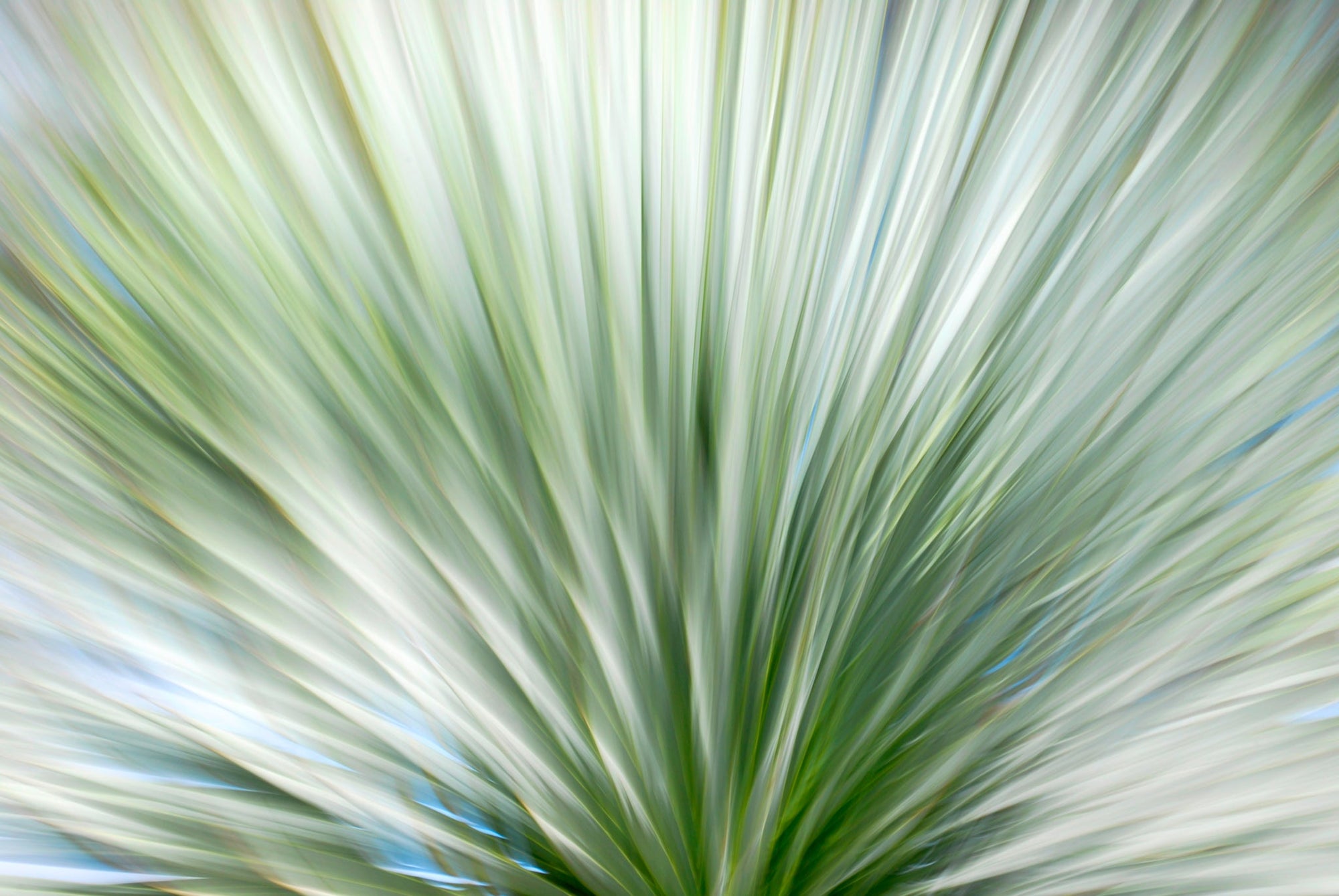 Static and Motion, 2010-02-06-0346