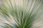 Static and Motion, 2010-02-06-0346