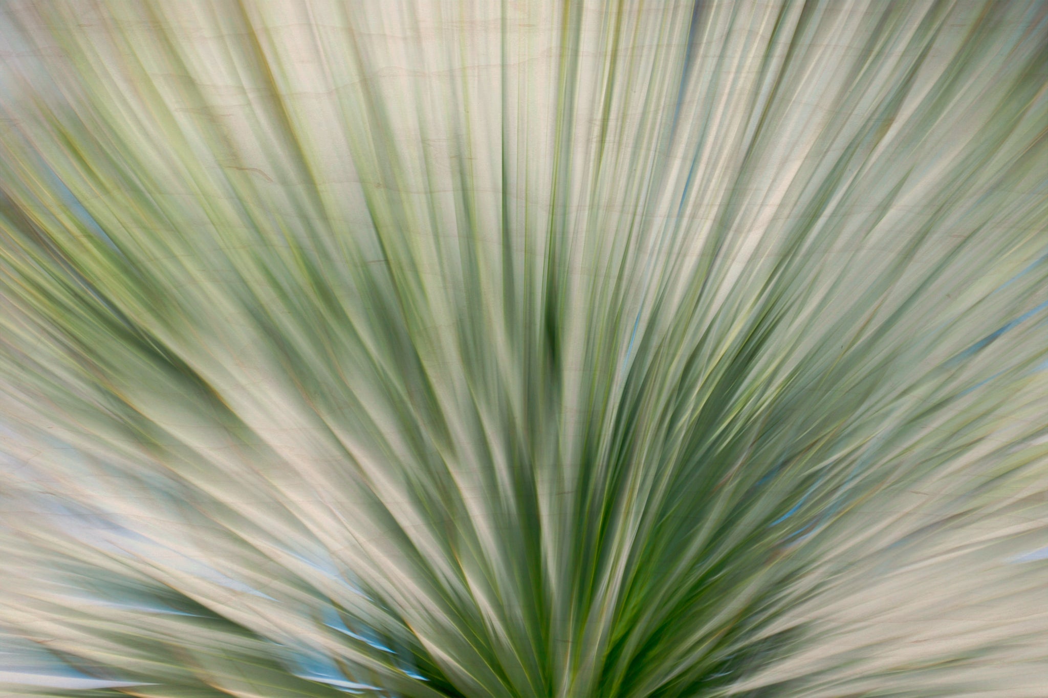 Static and Motion, 2010-02-06-0346