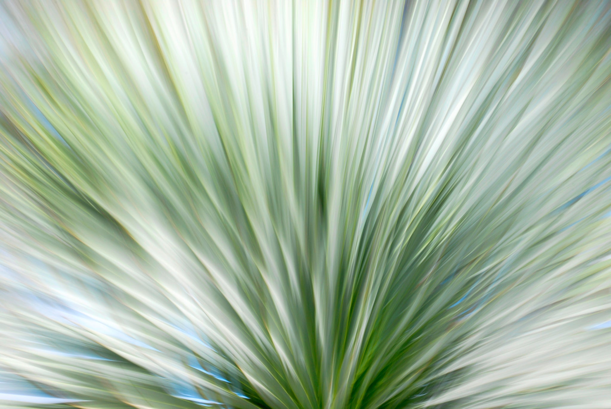 Static and Motion, 2010-02-06-0346