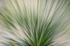 Static and Motion, 2010-02-06-0346