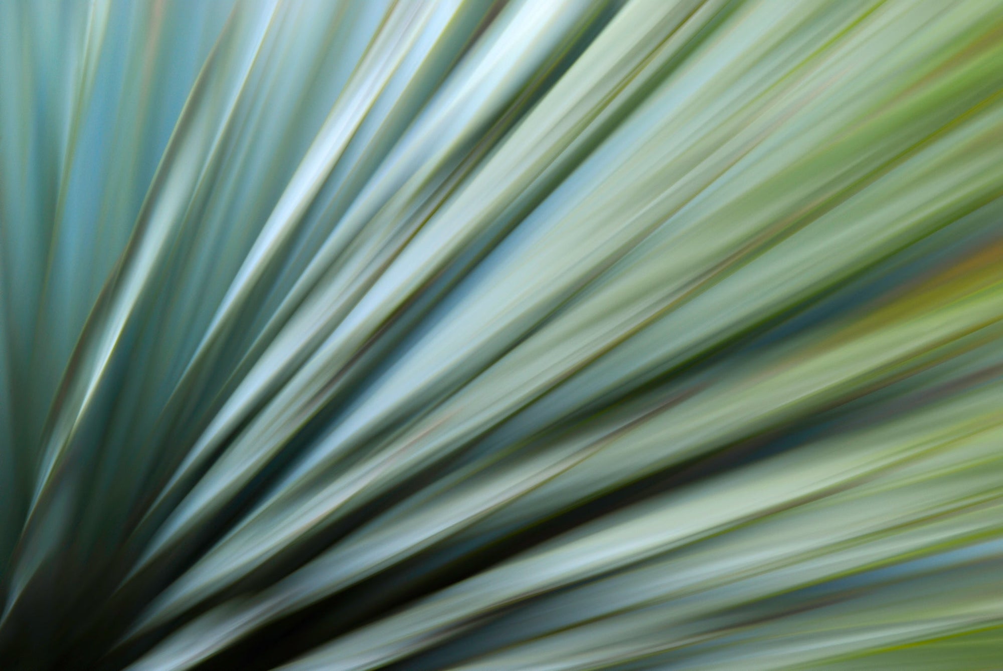 Static and Motion, 2010-02-06-0370