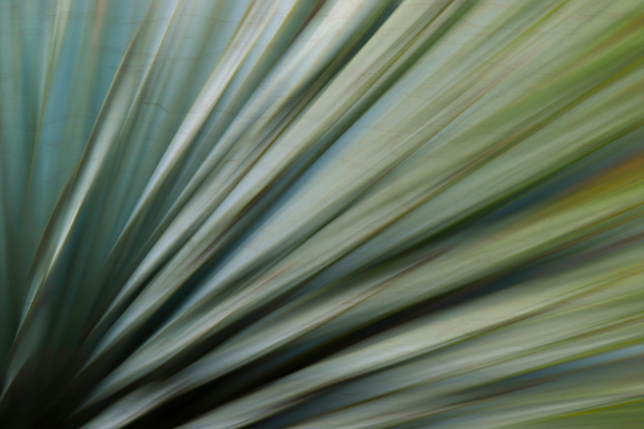 Static and Motion, 2010-02-06-0370