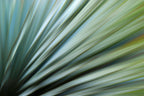 Static and Motion, 2010-02-06-0370