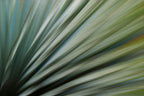 Static and Motion, 2010-02-06-0370