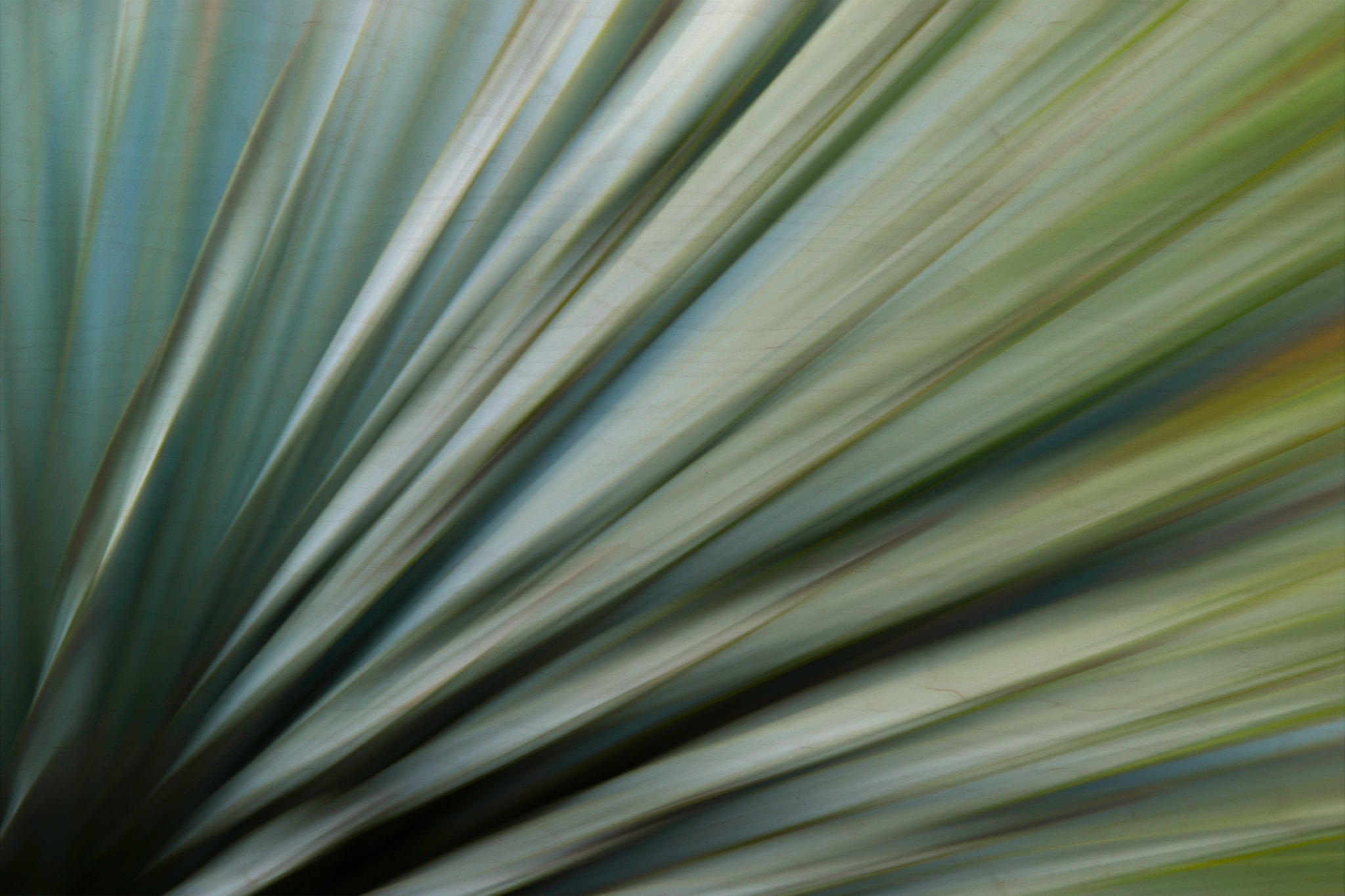 Static and Motion, 2010-02-06-0370