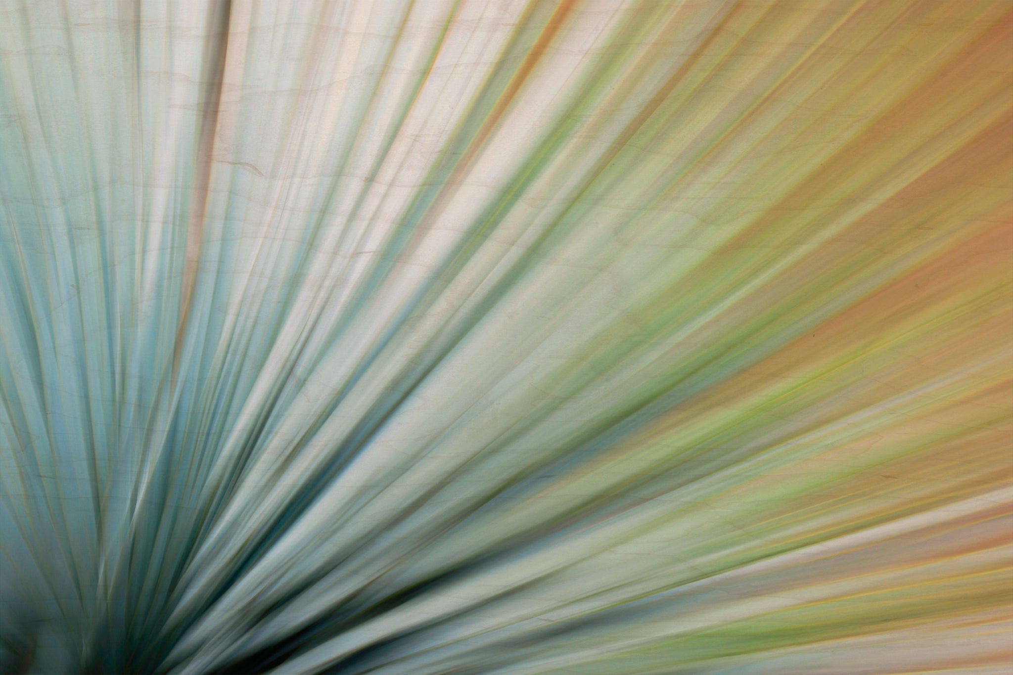 Static and Motion, 2010-02-06-0372