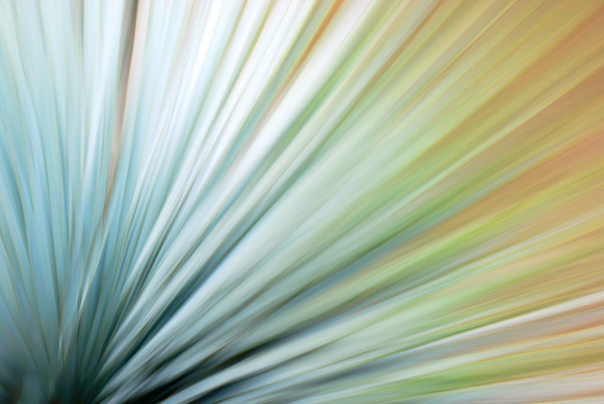 Static and Motion, 2010-02-06-0372