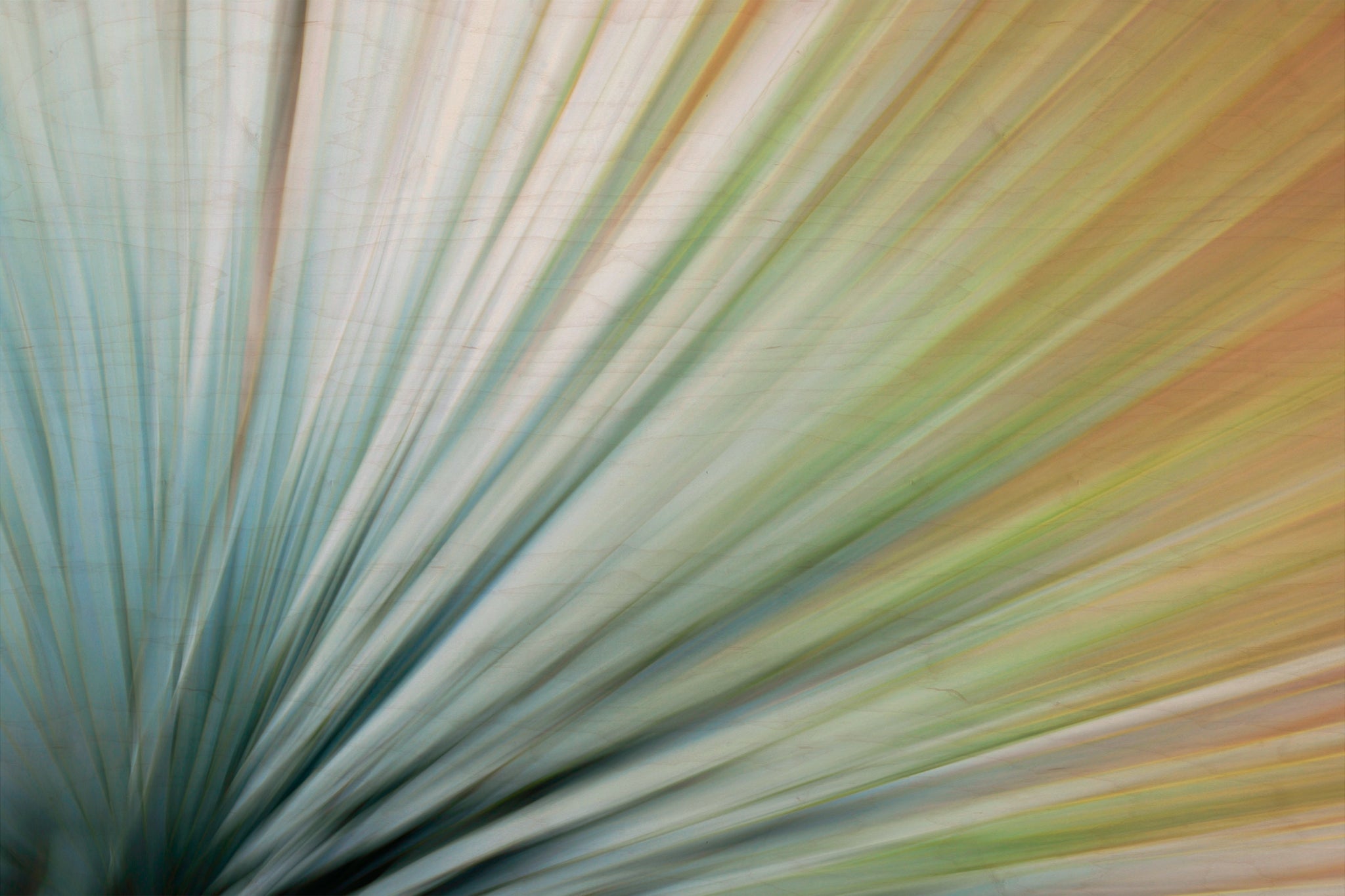 Static and Motion, 2010-02-06-0372