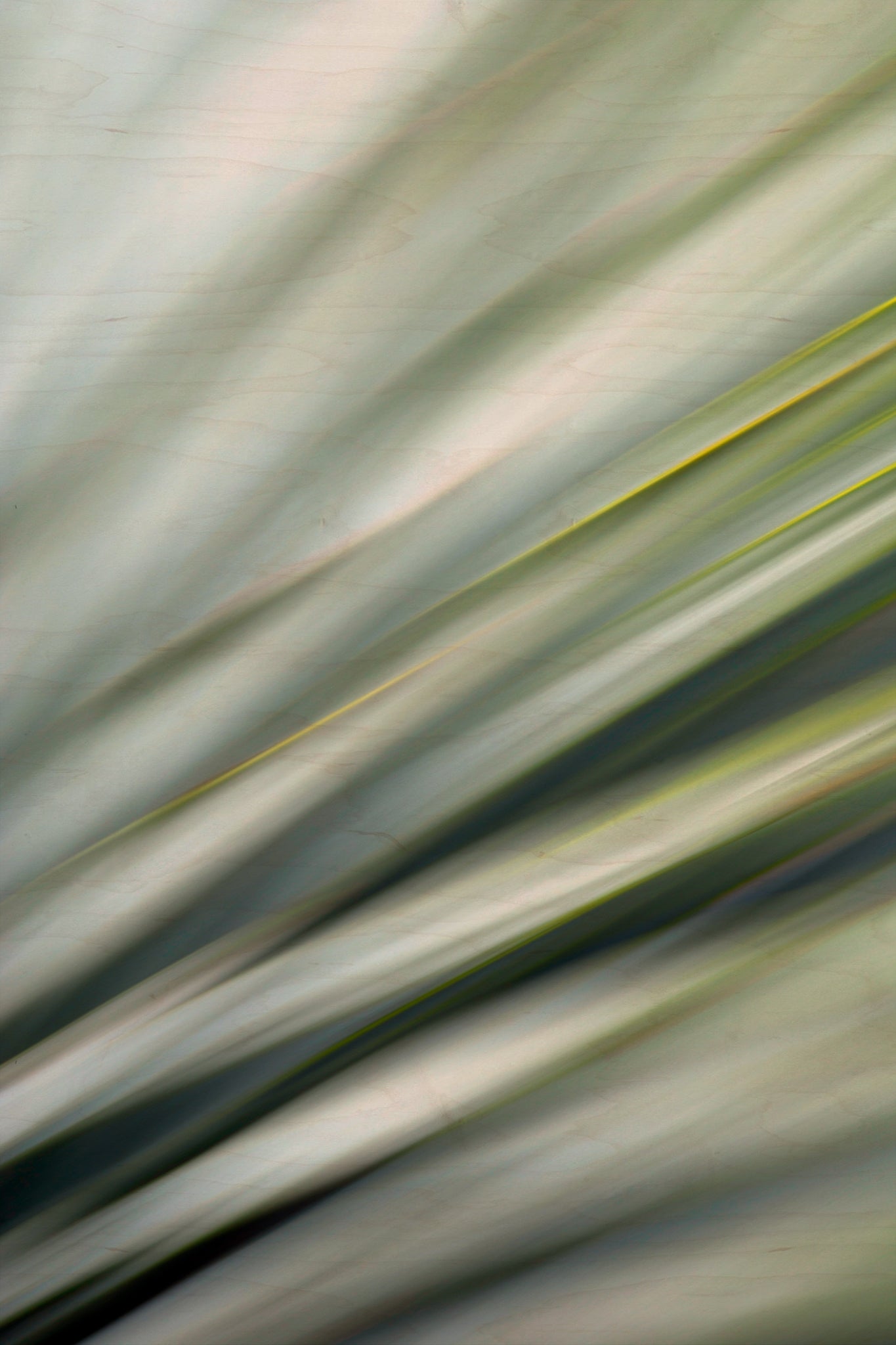 Static and Motion, 2010-02-06-0378