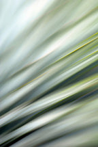 Static and Motion, 2010-02-06-0378