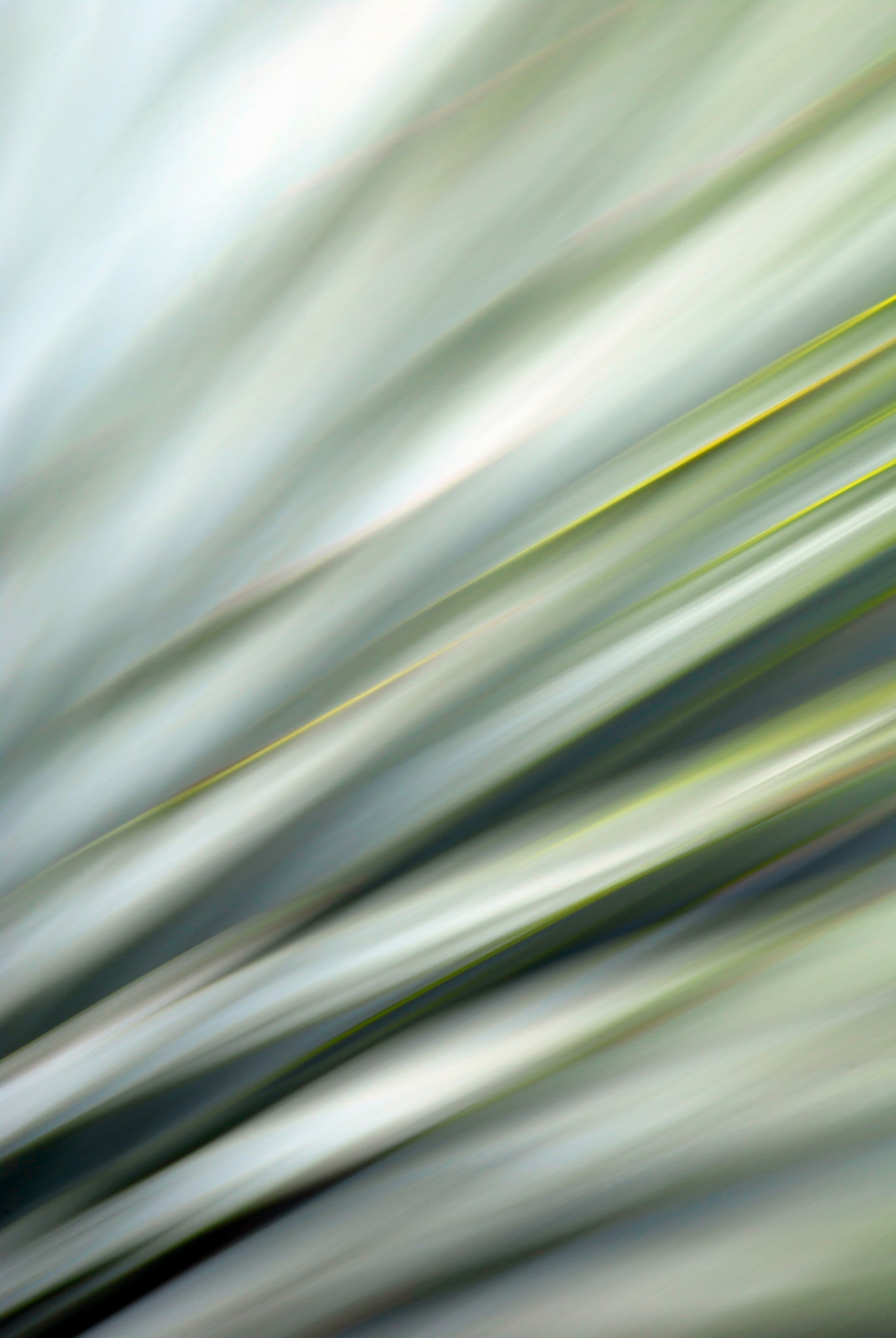 Static and Motion, 2010-02-06-0378