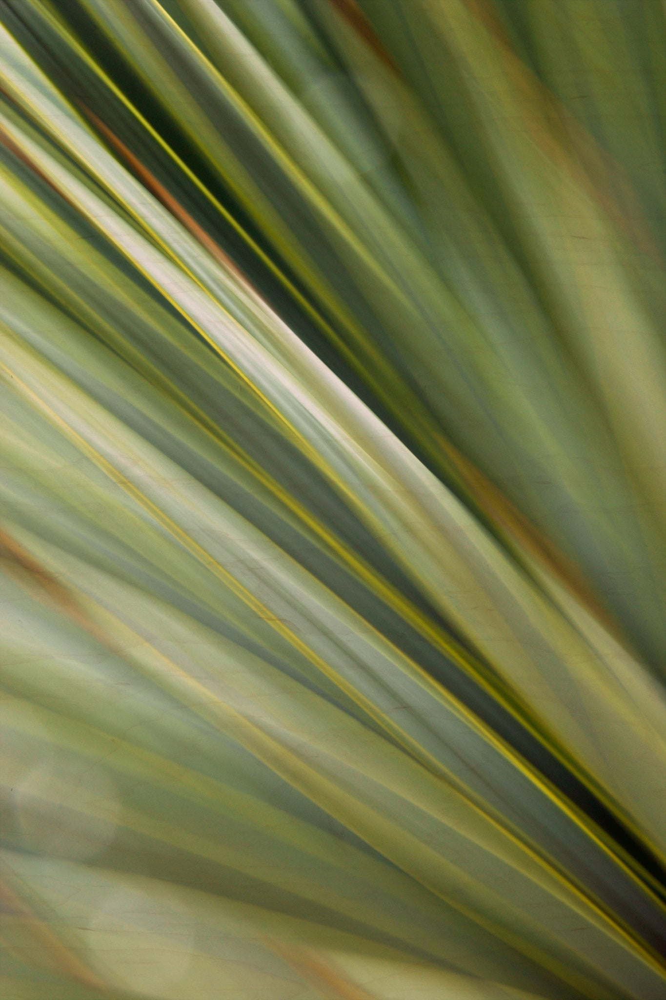 Static and Motion, 2010-02-06-0398