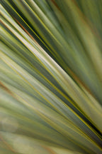 Static and Motion, 2010-02-06-0398