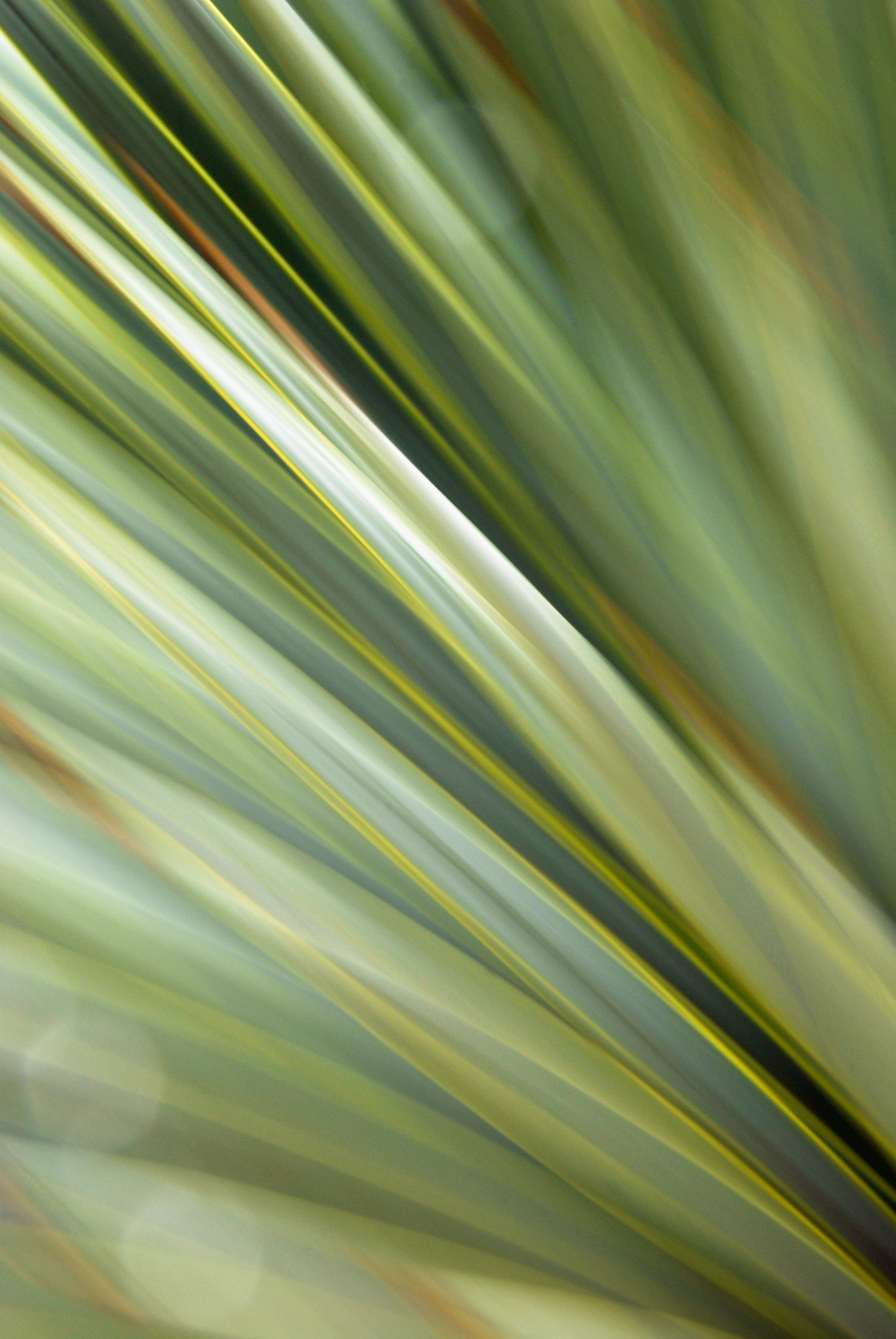 Static and Motion, 2010-02-06-0398
