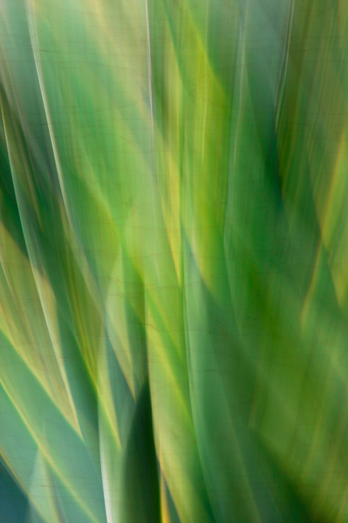 Static and Motion, 2010-02-06-0427