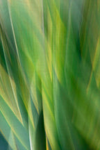 Static and Motion, 2010-02-06-0427