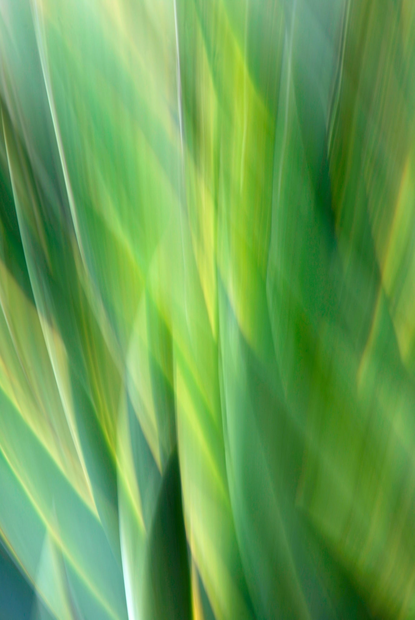 Static and Motion, 2010-02-06-0427