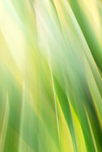 Static and Motion, 2010-02-06-0474