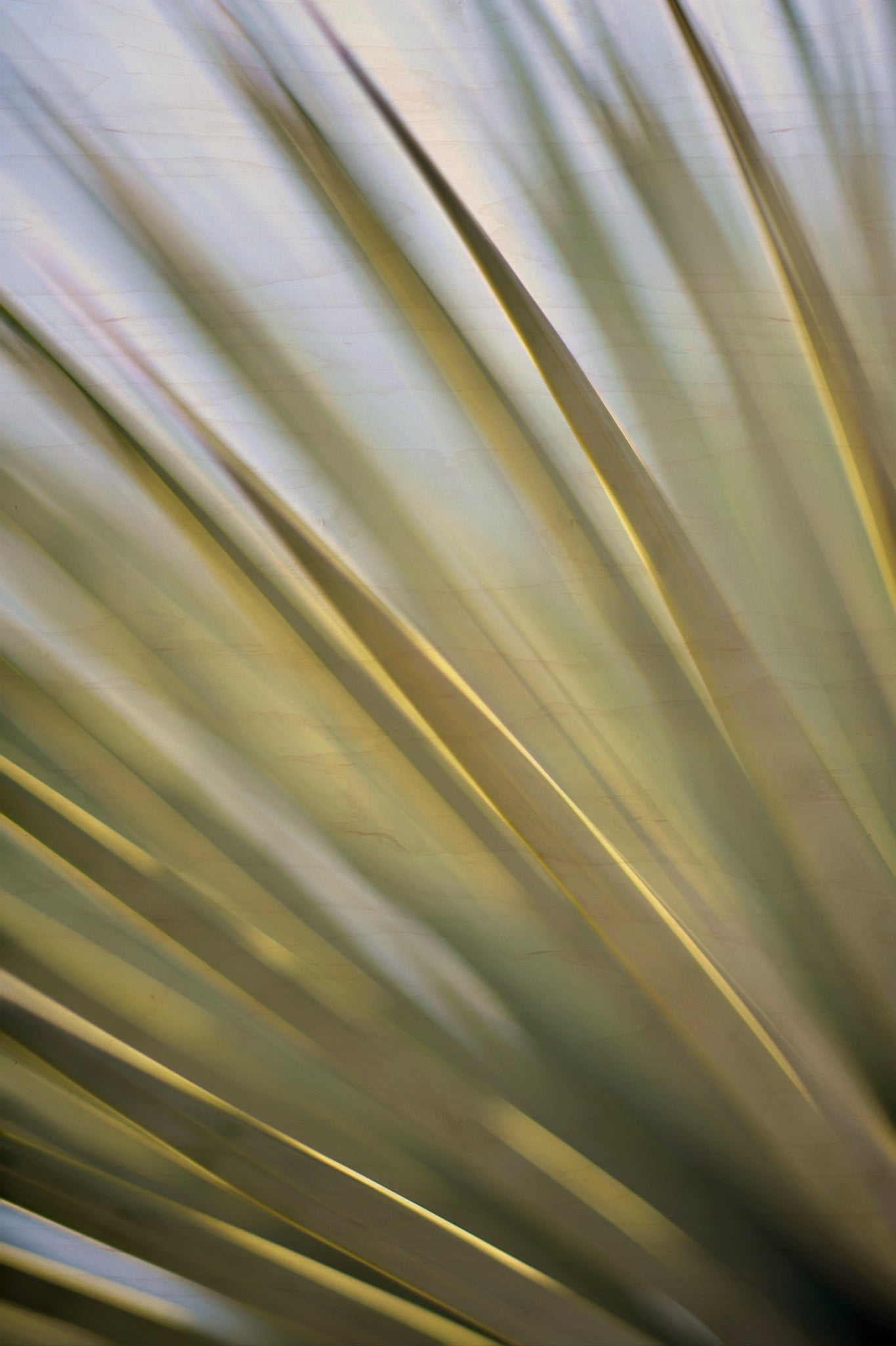 Static and Motion, 2012-06-17-4308