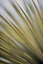 Static and Motion, 2012-06-17-4308