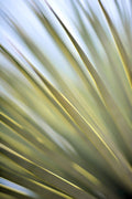 Static and Motion, 2012-06-17-4308
