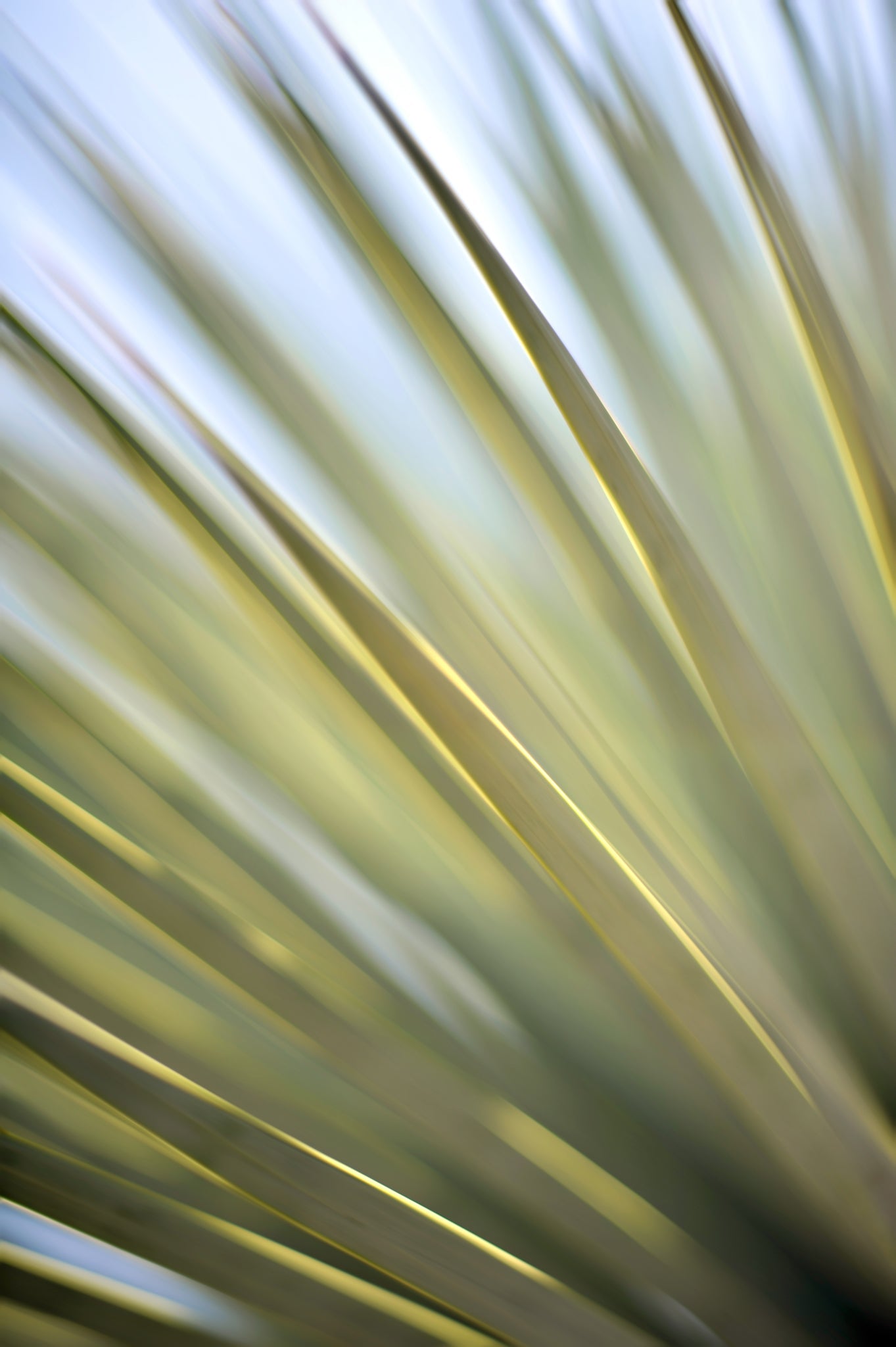 Static and Motion, 2012-06-17-4308