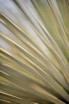 Static and Motion, 2012-06-17-4314