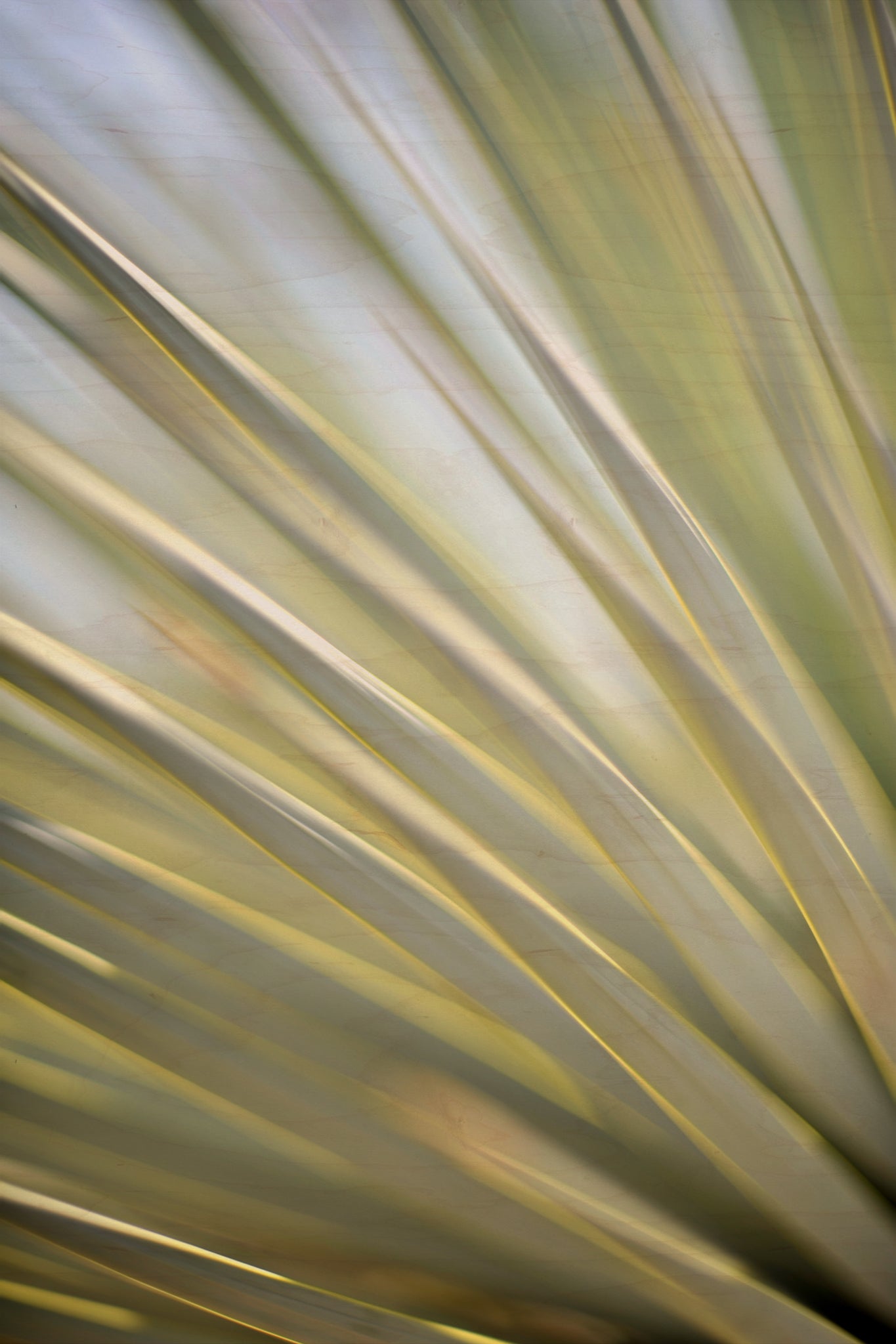 Static and Motion, 2012-06-17-4314