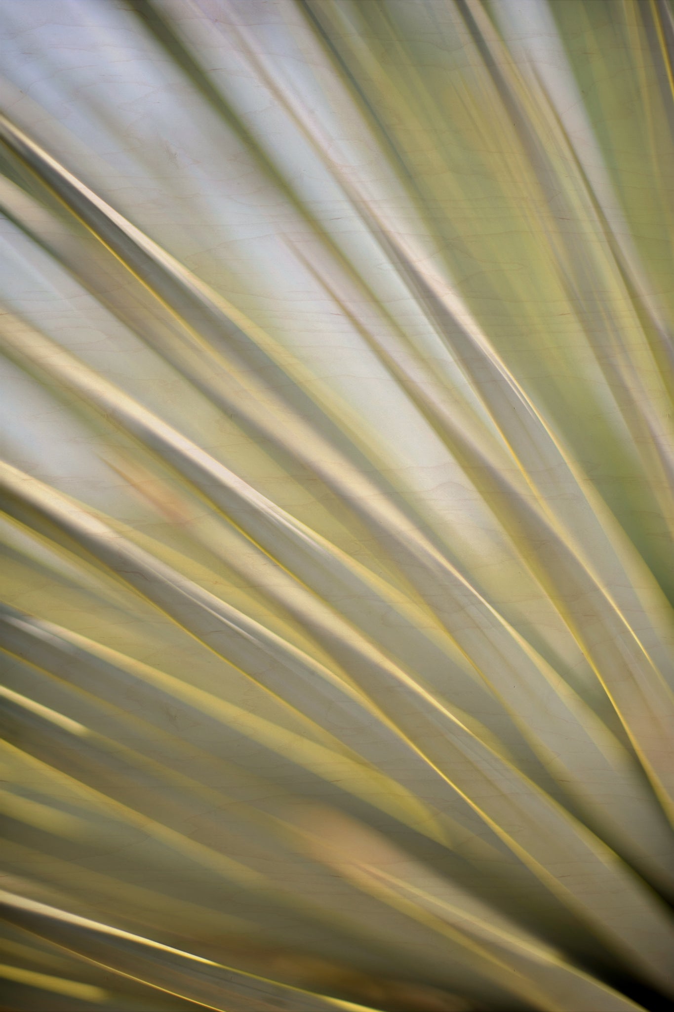 Static and Motion, 2012-06-17-4314