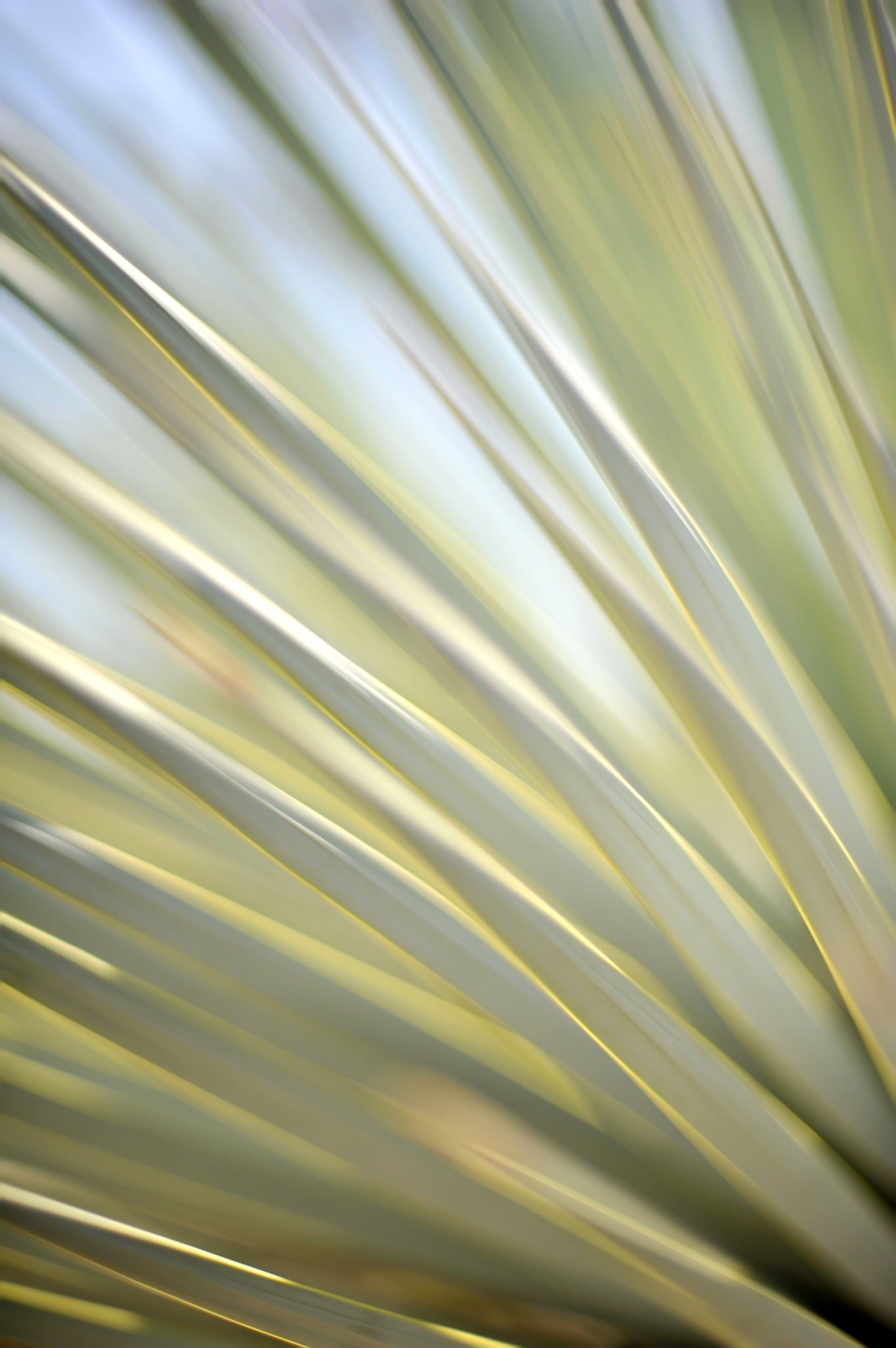 Static and Motion, 2012-06-17-4314