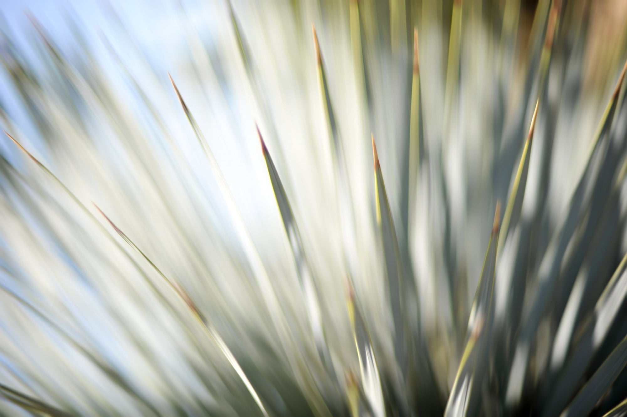 Static and Motion, 2012-06-17-4322