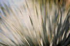 Static and Motion, 2012-06-17-4322