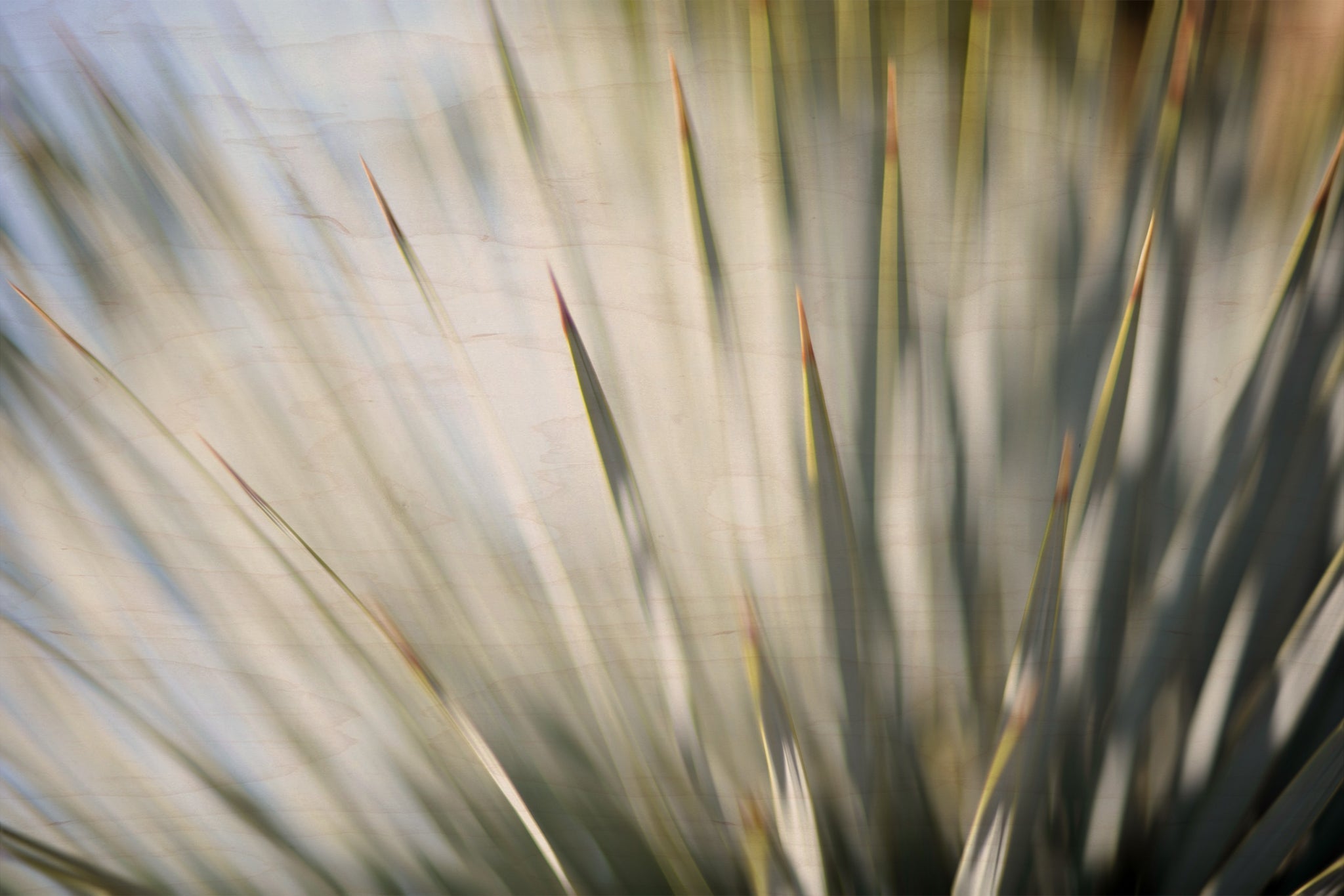 Static and Motion, 2012-06-17-4322
