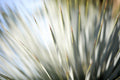 Static and Motion, 2012-06-17-4322