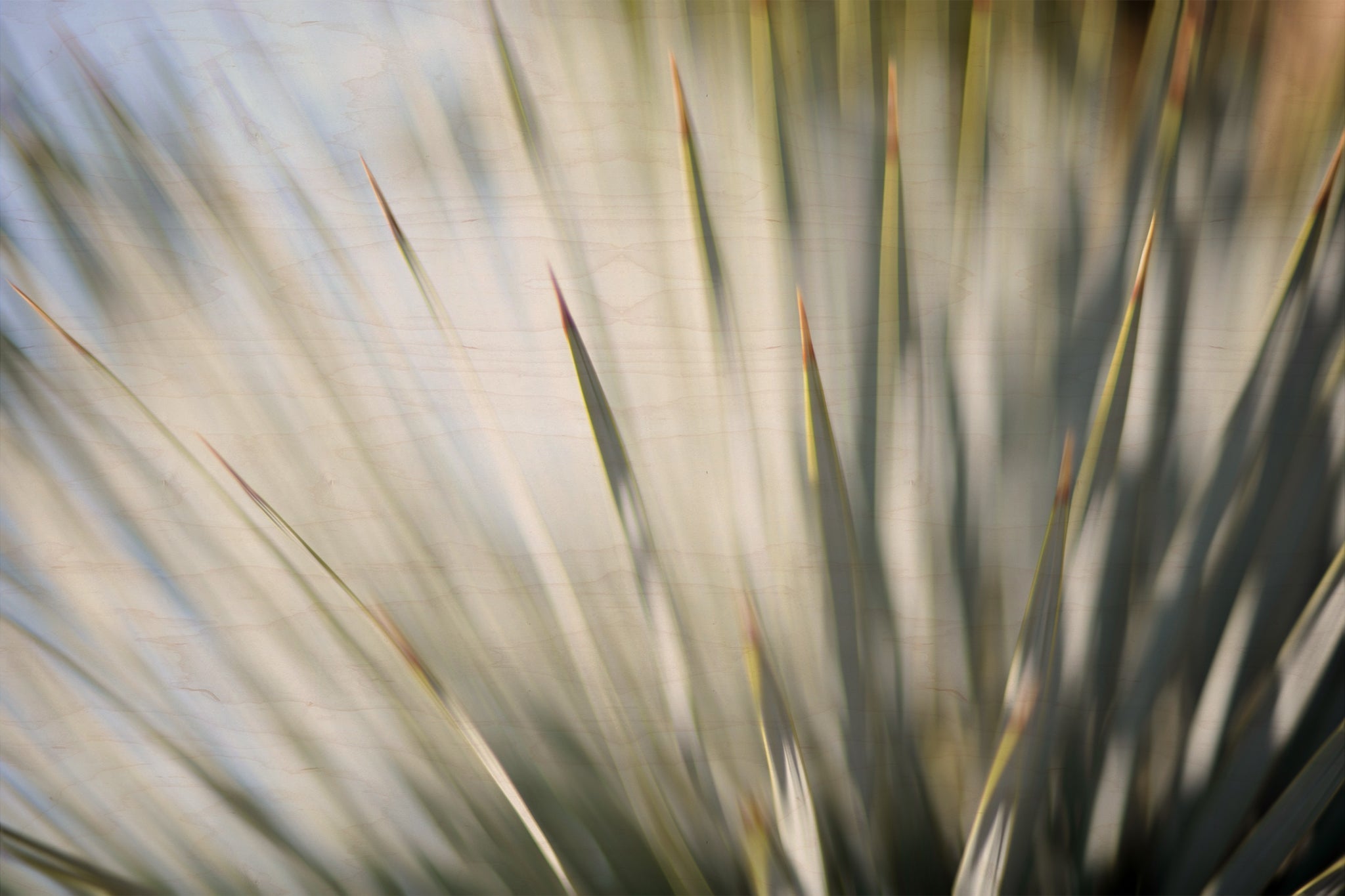 Static and Motion, 2012-06-17-4322