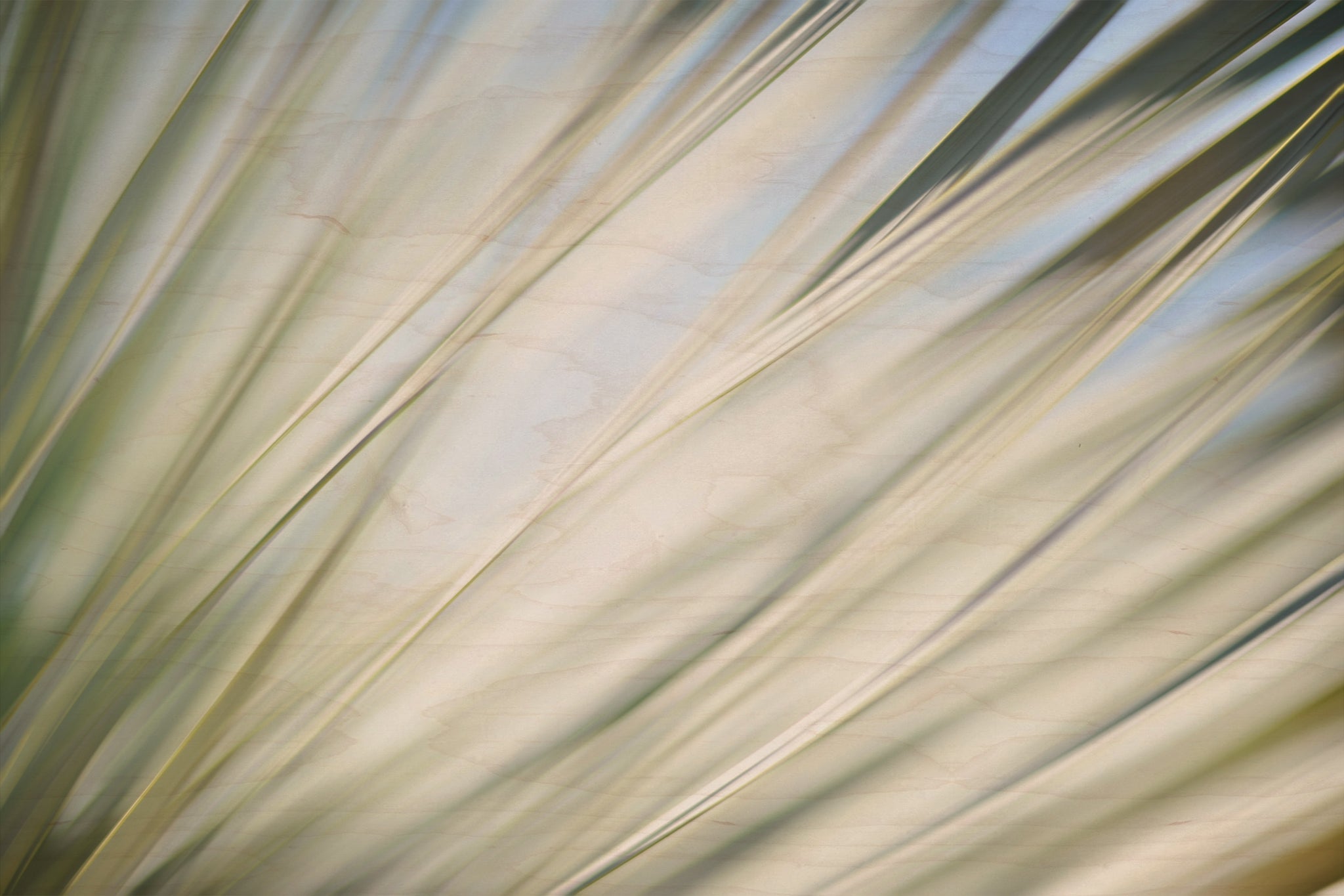 Static and Motion, 2012-06-17-4343