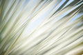 Static and Motion, 2012-06-17-4343