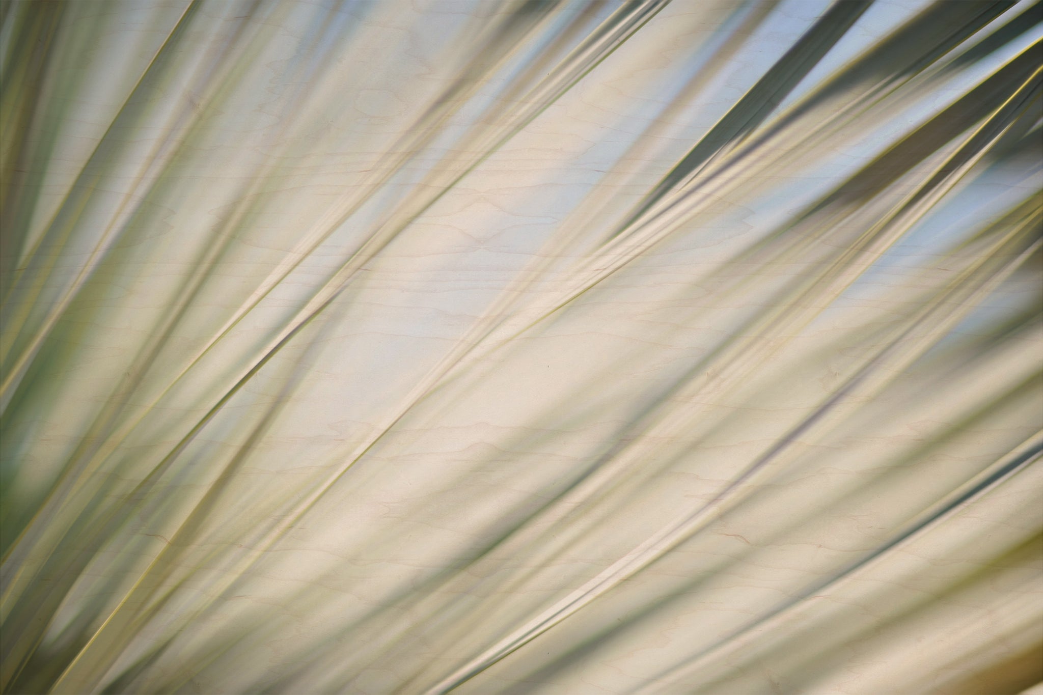 Static and Motion, 2012-06-17-4343